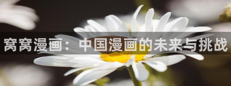 新新漫画网站：窝窝漫画：中国漫画的未来与挑战
