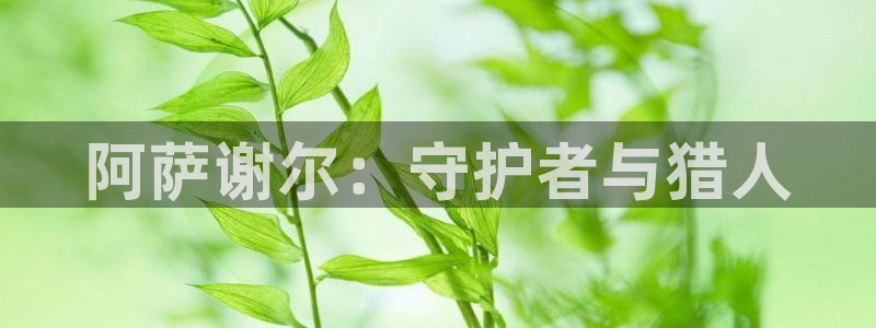新新漫画最新网址：阿萨谢尔：守护者与猎人