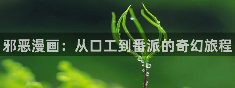 新新 漫画：邪恶漫画：从口工到番派的奇幻旅程
