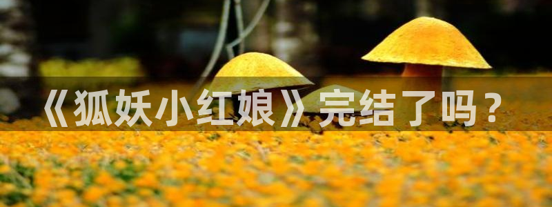 新新漫画官网网页版：《狐妖小红娘》完结了吗？