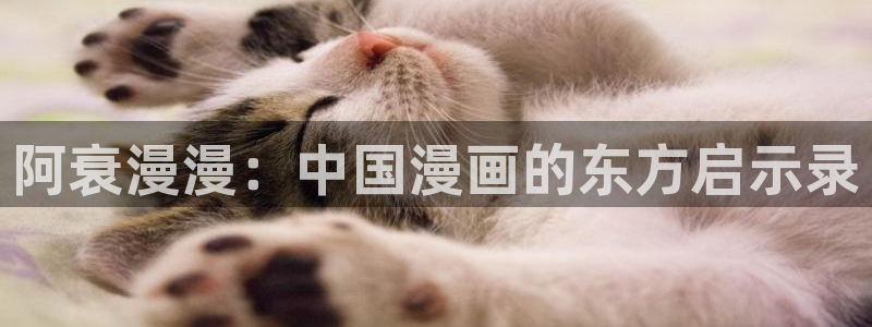 新新漫画在线观看免费：阿衰漫漫：中国漫画的东方启示录