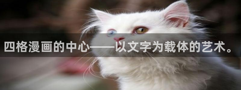 新新 漫画：四格漫画的中心——以文字为载体的艺术。