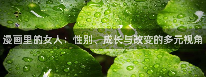 新新漫画纯爱人生：漫画里的女人：性别、成长与改变的多元视角