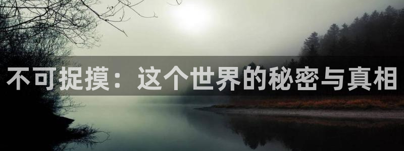 新新漫画正版下载：不可捉摸：这个世界的秘密与真相