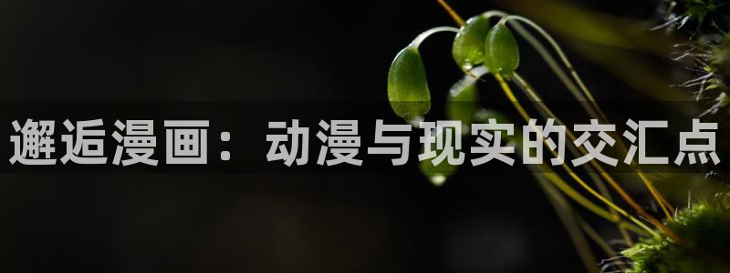 新新漫画免费版：邂逅漫画：动漫与现实的交汇点
