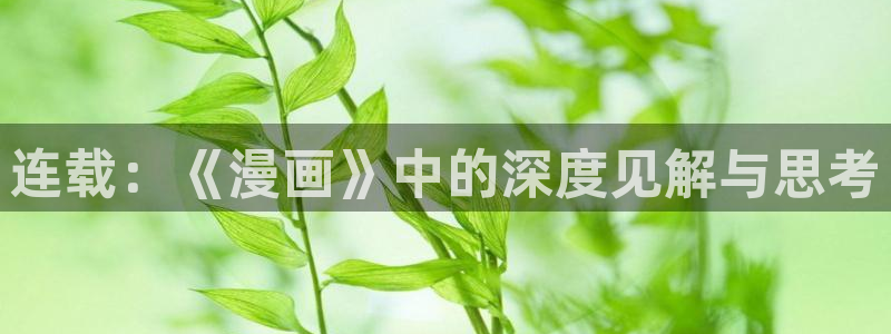 新新漫画入口www：连载：《漫画》中的深度见解与思考